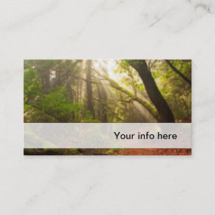 Beautiful forest business card