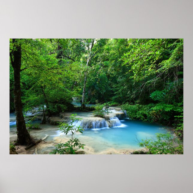 Beautiful Forest Poster (Front)