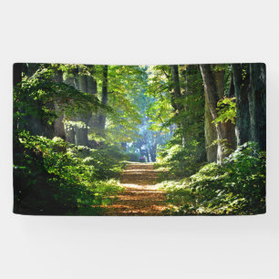 Beautiful Forest Road in Summer Banner