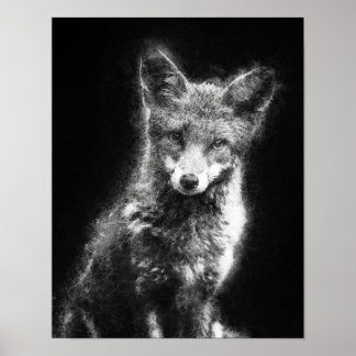 beautiful fox black and white sketch art poster