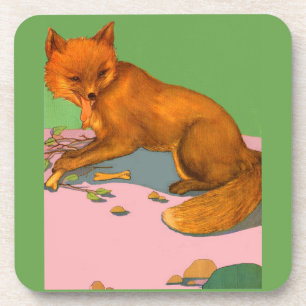 beautiful fox coaster
