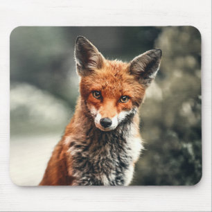Beautiful Fox in the Wild Mouse Pad