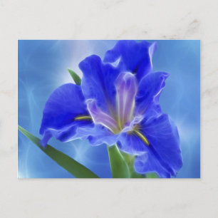 Beautiful fractal iris and its meaning postcard