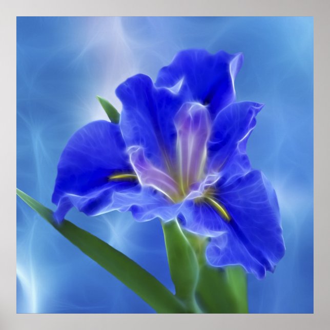 Beautiful fractal iris and its meaning poster (Front)