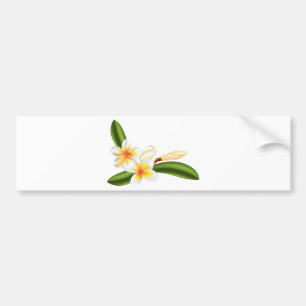 Beautiful frangipani or plumeria flowers bumper sticker