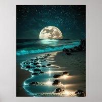 Beautiful Full Moon Beach Ocean Starry Night