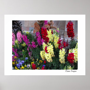 Beautiful Garden Poster Print