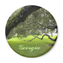 Beautiful Georgia Oak and Green Lawn