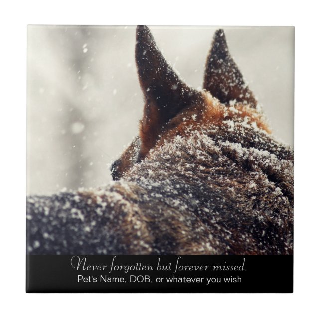 Beautiful German Shepherd Memorial Ceramic Tile (Front)
