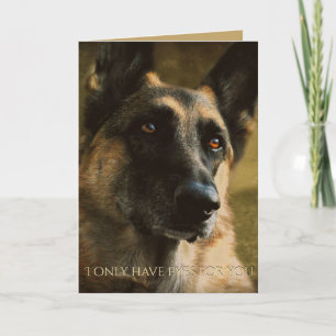 Beautiful German Shepherd Valentine's Day Card