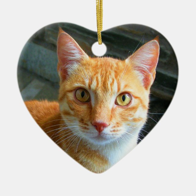 Beautiful Ginger Cat Ceramic Ornament (Front)