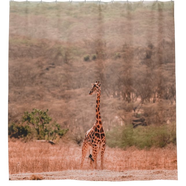 BEAUTIFUL GIRAFFE (Front)