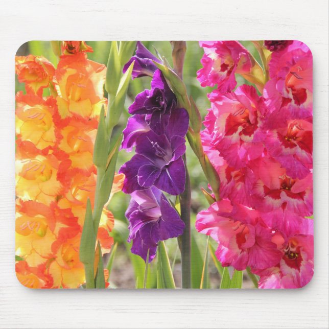 Beautiful Gladiolus Blooms Mouse Pad (Front)