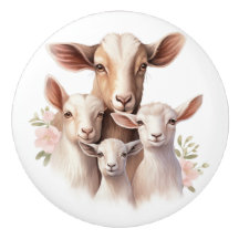Beautiful Goat Family