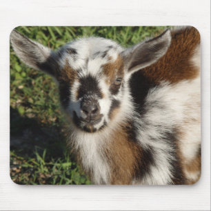 Beautiful Goat Kid Mouse Pad