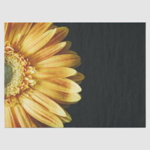 Beautiful Gold Sunflower on Black Background Tissue Paper