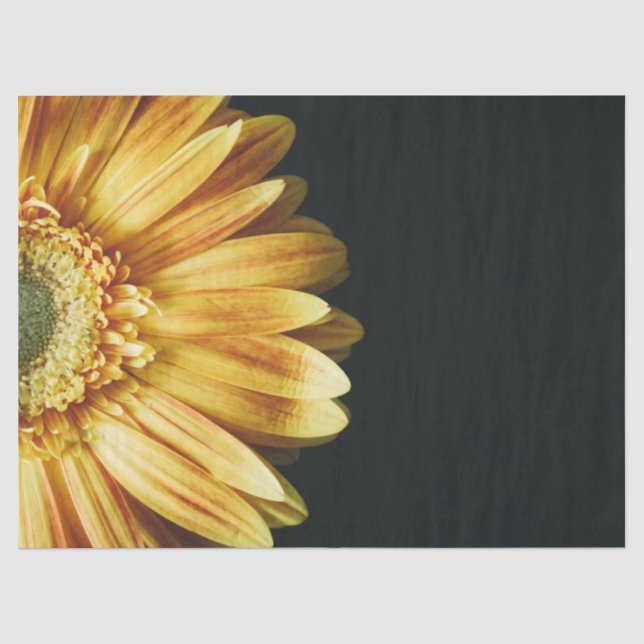 Beautiful Gold Sunflower on Black Background Tissue Paper (Front)