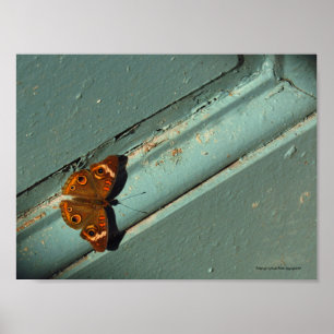 Beautiful Golden Butterfly Poster