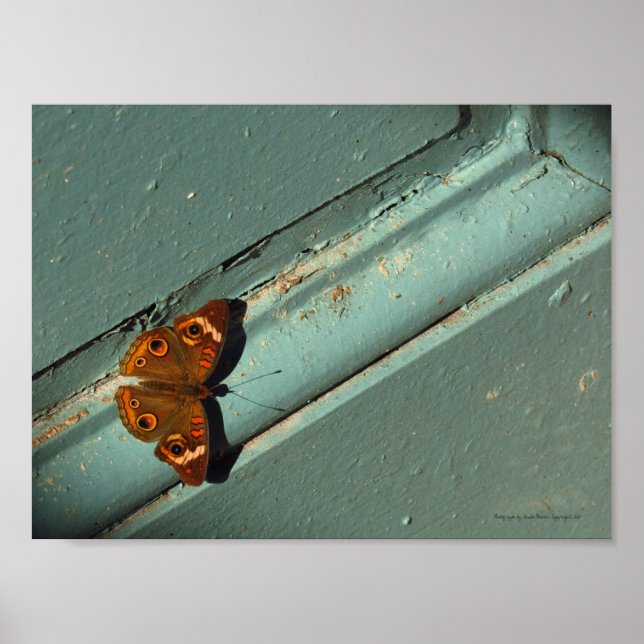 Beautiful Golden Butterfly Poster (Front)