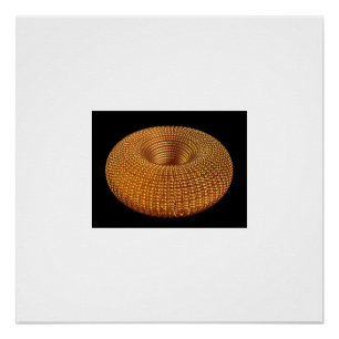 Beautiful Golden Torus Poster