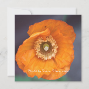 beautiful golden wild poppy flower all party invitation