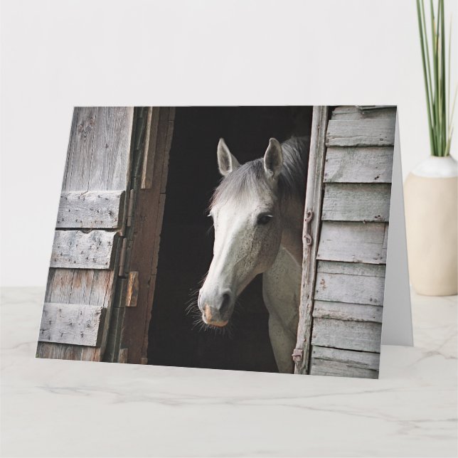 Beautiful Gray Mare Horse Rustic Ranch Card (Front)