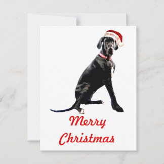 Beautiful Great Dane in Santa Hat Card