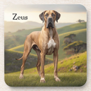 Beautiful Great Dane Personalized Coaster Set