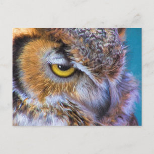 Beautiful Great Horned Owl Bird Golden Eye Postcard