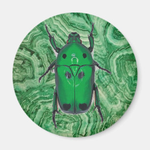 Beautiful Green Beetle On Malachite Magnet