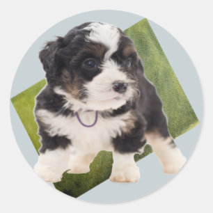 Beautiful Green Bernedoodle Puppy Art  Classic Round Sticker