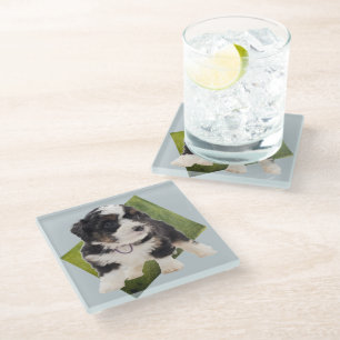 Beautiful Green Bernedoodle Puppy Art  Glass Coaster