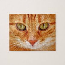 Beautiful Green Eyed Orange Tiger Cat