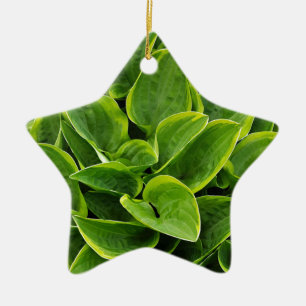 Beautiful green hosta plant ceramic ornament
