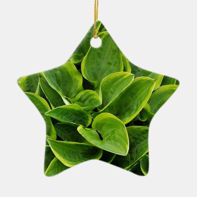 Beautiful green hosta plant ceramic ornament (Front)