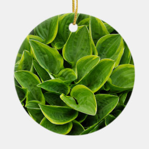 Beautiful green hosta plant ceramic ornament