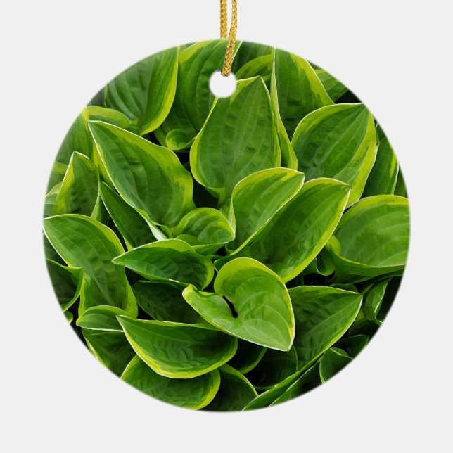 Beautiful green hosta plant ceramic ornament (Front)
