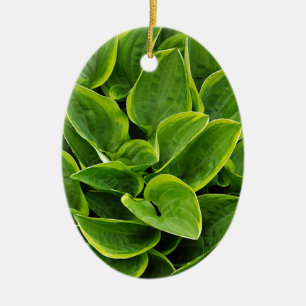 Beautiful green hosta plant ceramic ornament