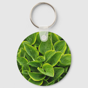 Beautiful green hosta plant keychain