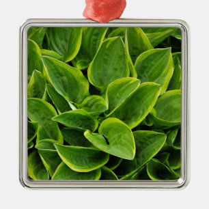 Beautiful green hosta plant metal ornament