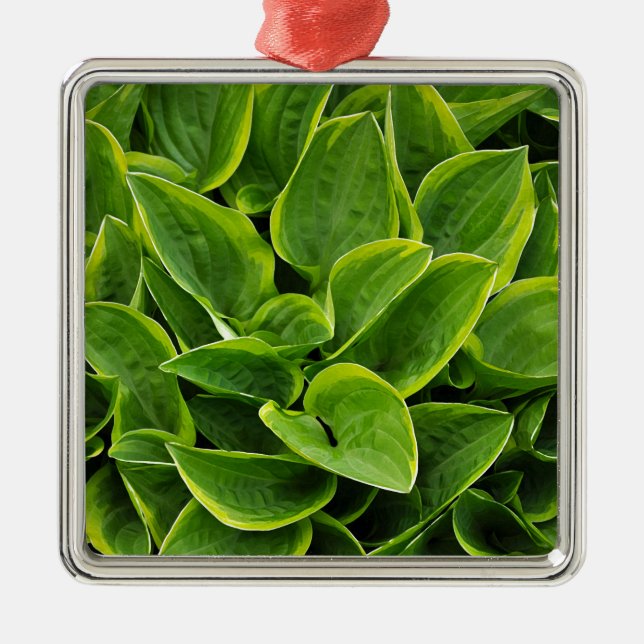 Beautiful green hosta plant metal ornament (Front)