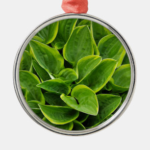 Beautiful green hosta plant metal ornament