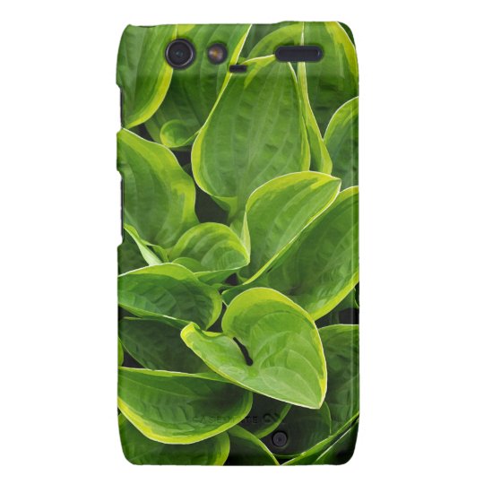 Beautiful green hosta plant motorola droid RAZR covers