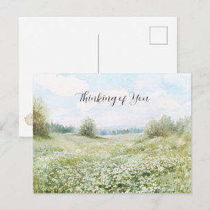 Beautiful Green Meadow Flowers Blue Sky Postcard