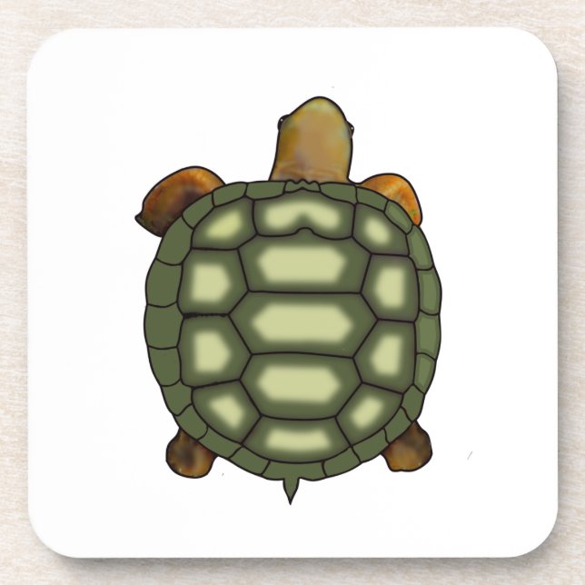 Beautiful Green Turtle on White Coaster (Front)