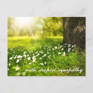 Beautiful Green Valley with White Flowers Sympathy Postcard