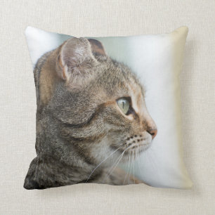 Beautiful grey cat throw pillow