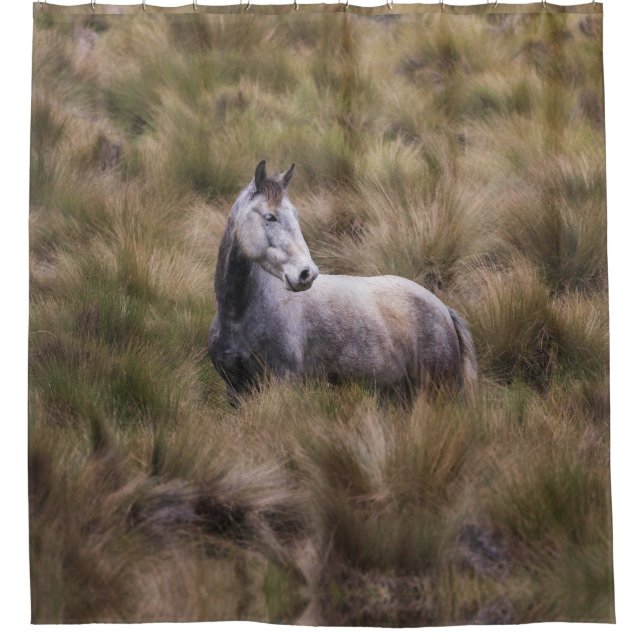 Beautiful Grey Coloured Horse (Front)