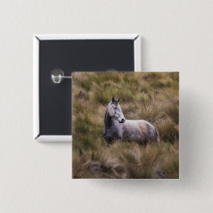 Beautiful Grey Coloured Horse 2 Inch Square Button
