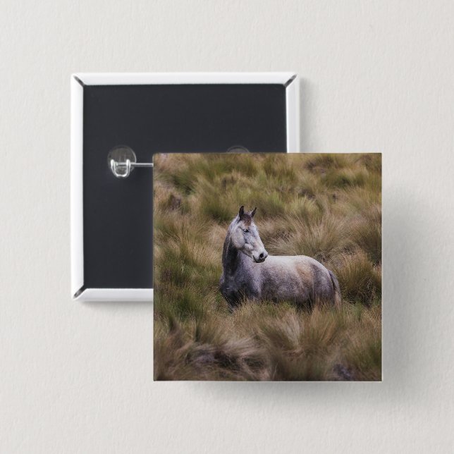 Beautiful Grey Coloured Horse 2 Inch Square Button (Front & Back)